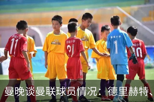 曼晚谈曼联球员情况：德里赫特、巴莱巴、卢克·肖有望今晚复出